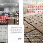 没了，没了，全没了！中国外贸业主哀嚎一片