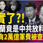 杨兰兰案爆炸性转折！神秘身世牵出中南海重大计划？种子计划