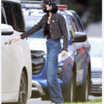 习慈溪近平对英国使馆断水，为杨兰兰停止进口澳大利亚矿石