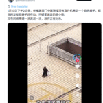 中国已经成为魔鬼之国，为器官移植，非法绑架被警察保护，中学生和年轻人大量消失，口袋中挣扎的孩子被直升机直接接走