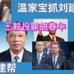 习近平同意下台放敢出访，王毅押宝胡锦涛胡春华接班！胡锦涛掌军权只推胡春华接班